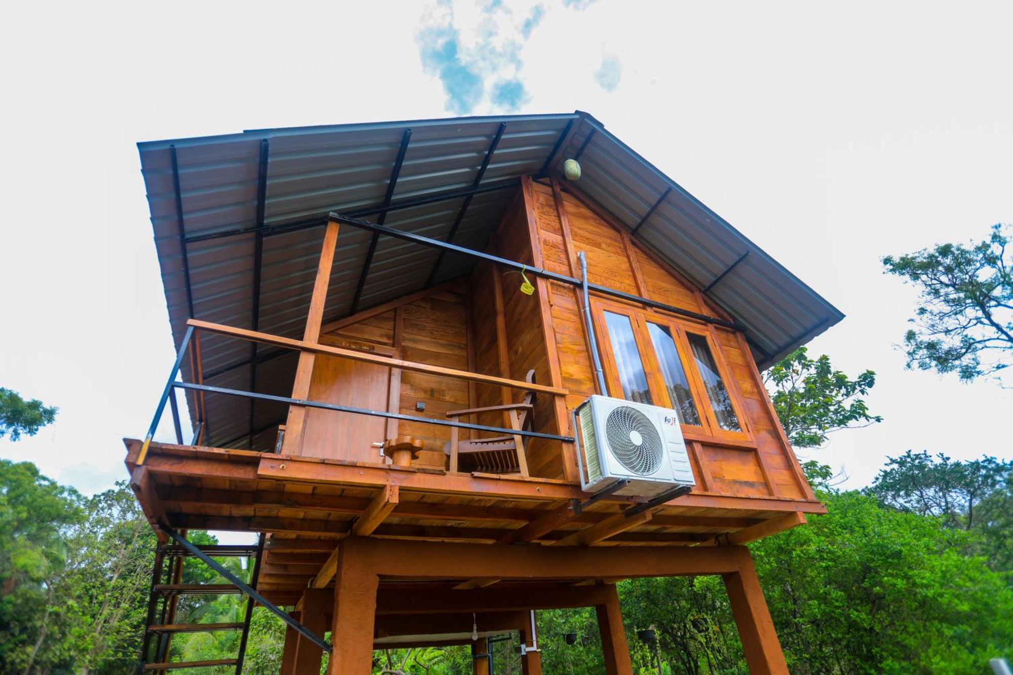 Вилла Lion Wood Treehouse Talkote Экстерьер фото