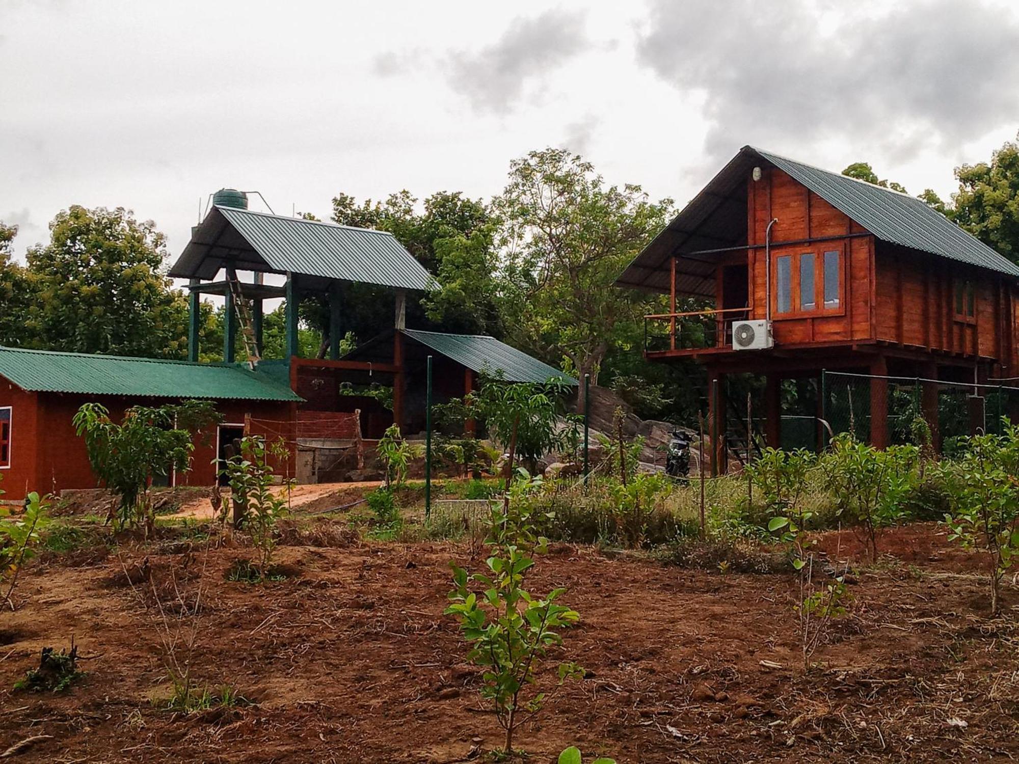 Вилла Lion Wood Treehouse Talkote Экстерьер фото