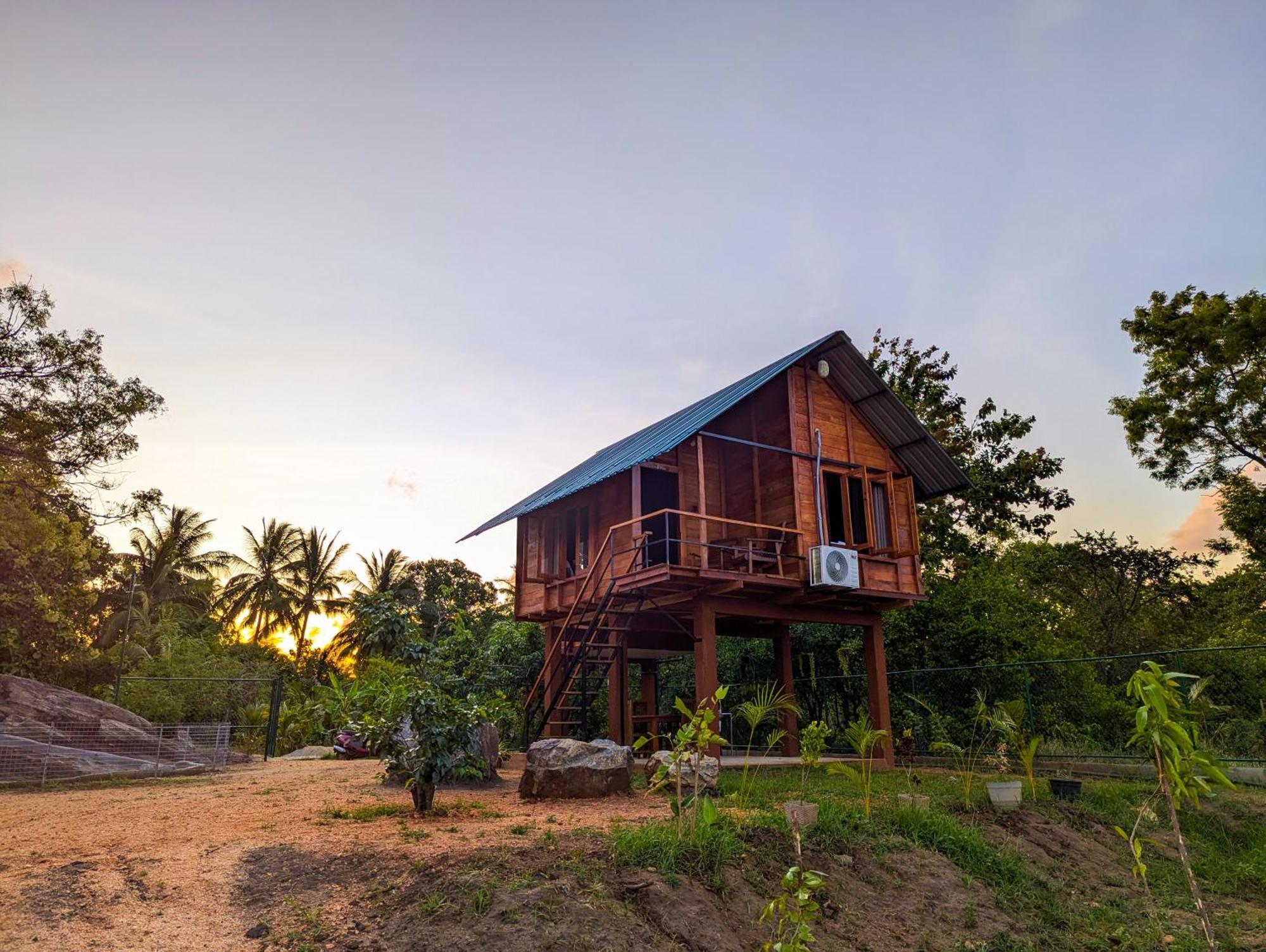 Вилла Lion Wood Treehouse Talkote Экстерьер фото