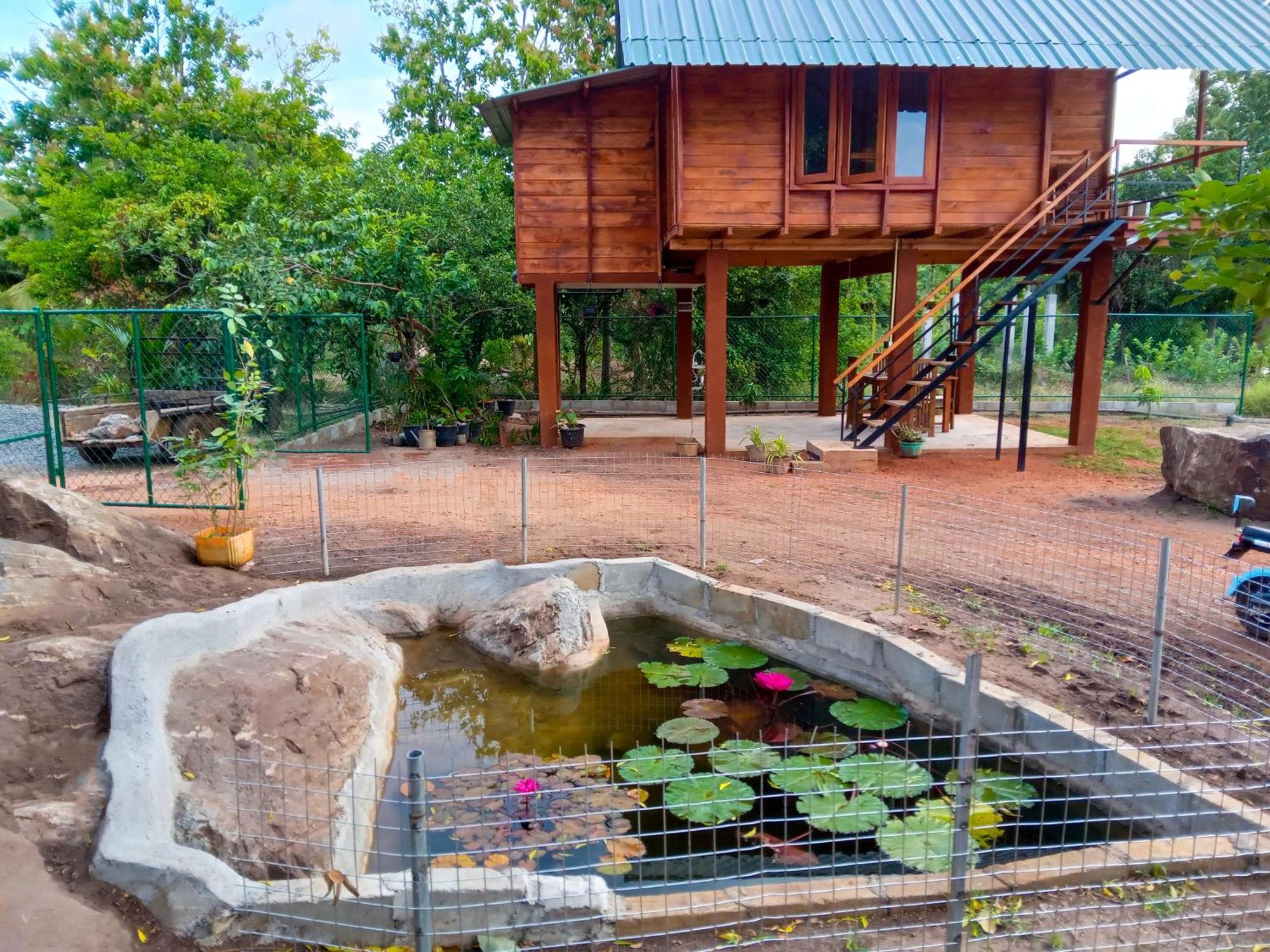 Вилла Lion Wood Treehouse Talkote Экстерьер фото